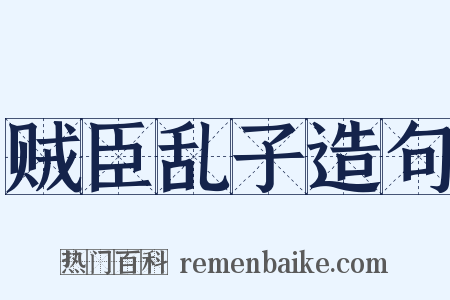 贼臣乱子造句是什么意思的图片